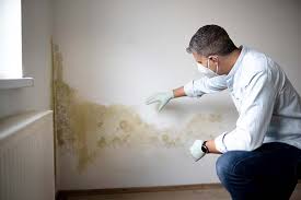 Best Mold Remediation for Healthcare Facilities in USA